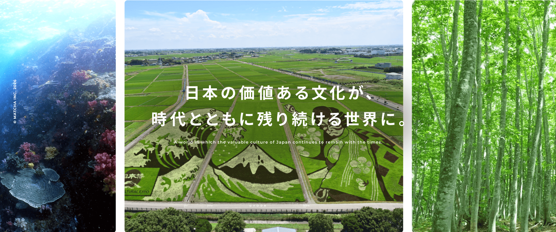 Exhibitor Image